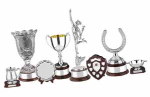 various silver trophies